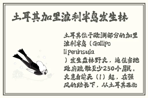 英语课代表好软免费高清视频